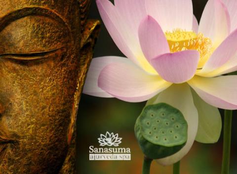 Rozmaznajte vaše zmysly Relaxačný zážitok pri jednej zo 6 masáží 