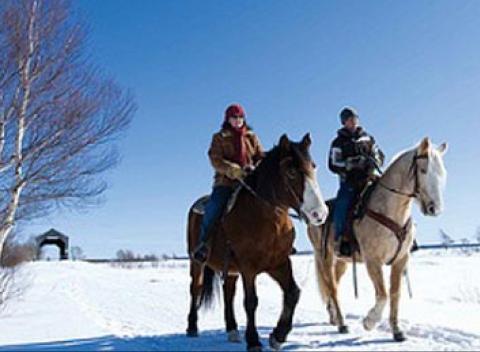 Doprajte si jedinečný relax Skvelý 10-hodinový kurz jazdenia na koni 