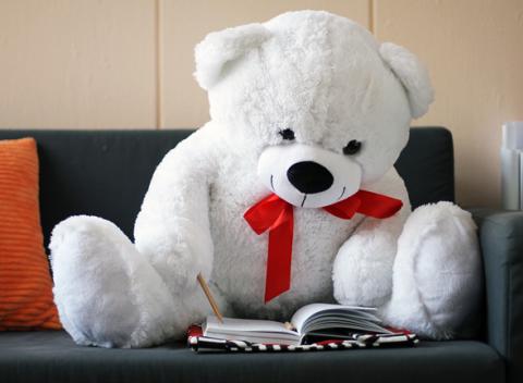 Plyšoví medvedíci pre deti Zaobstarajte svojim deťom huňatého medveďa 