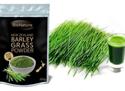 Mladý zelený jačmeň Pochádza z ekologickej farmy v Canterbury 