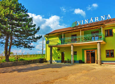 Južná Morava v penzióne vo vinárskej obci Čejč s degustáciou a polpenziou.