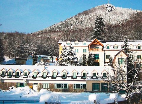 Relax v tichu prírody hôr Rodinný wellness pobyt v Hoteli Remata*** 