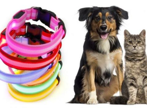 Svietiaci LED obojok pre psov a mačky v 8 prevedeniach. Posvieťte si na svojho chlpatého člena rodiny, ktorý vám už nikam nezabehne.