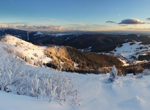 Silvester alebo fantastická jar na Donovaloch v Penzióne Zornička. Príjemné ubytovanie s chutnou stravou neďaleko zjazdovky Nová Hoľa.