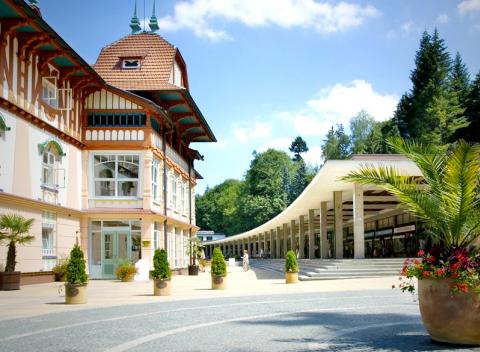 Spríjemnite si zimné mesiace v kúpeľnom meste Luhačovice s ubytovaním v Penzióne Růža*** pre dvoch na 3 a viac dní.