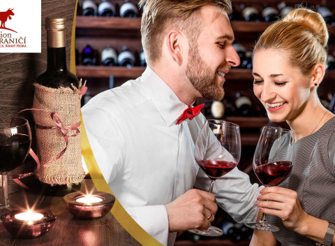 Vinársky pobyt pre dvoch s polpenziou a konzumáciou vín v Penzióne v Zahraničí na Morave.