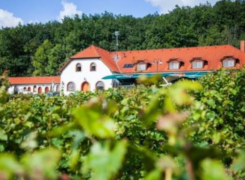 3 alebo 5-dňový pobyt pri Třebíči pre dve osoby. Kombinácia skvelého jedla, prvotriedneho vína a komfortného zázemia s rodinnou atmosférou.