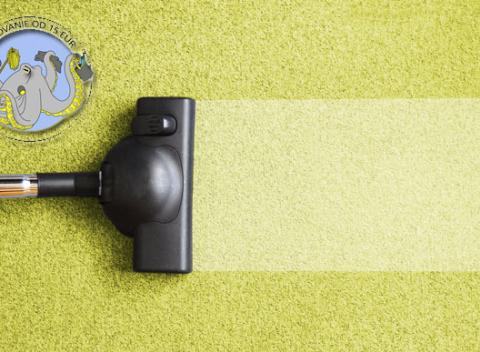 Mega čisté prostredie - zapožičanie tepovača a parných vysávačov. Nekupujte drahé prístroje, ušetrite čas aj miesto požičaním si prístroja.