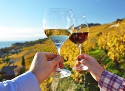 Objavte kúzla Južnej Moravy. Užite si dovolenku v penzióne Villa Witke pri Mikulove s polpenziou, degustáciou a konzumáciou vína.