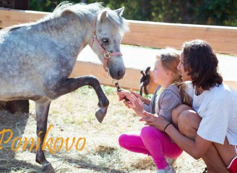 Vstúpte do čarovného sveta poníkov len pár kilometrov od Bratislavy. A zažite s deťmi a poníkmi dni plné zábavy a zážitkov.