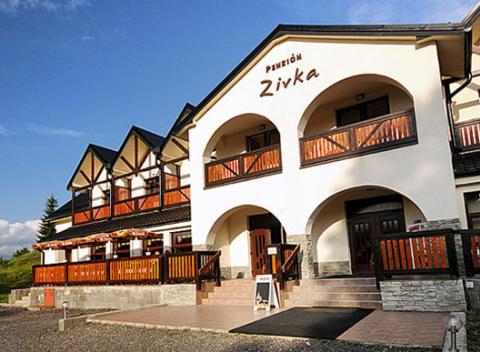Užite si pobyt v penzióne Zivka spojený s wellness v hoteli Alexandra*** alebo vstupom do Tatralandie v atraktívnom prostredí Liptova. 