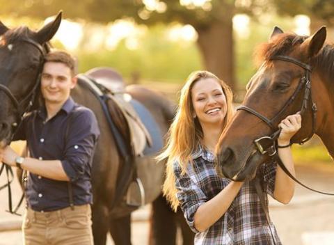 Ideálna dovolenka pre milovníkov koní i krásnej prírody čaká v Motešiciach neďaleko Trenčína. Pobyt s polpenziou a jazdou na koni či v koči.