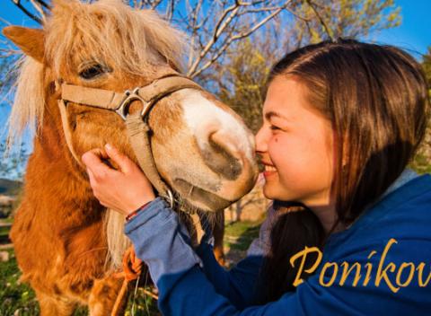Vstúpte do čarovného sveta poníkov v Bernolákove. Zažite s deťmi dni plné zábavy a zážitkov na čerstvom vzduchu a v príjemnom prostredí.