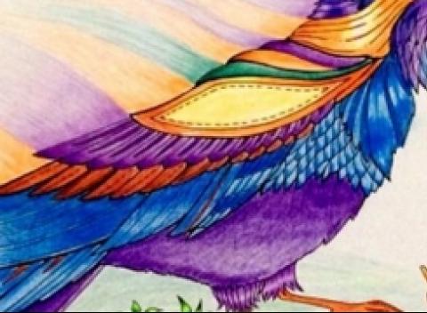 Omaľovánka pre dospelých, ktorá vás očarí krásnymi obrázkami, prepracovaním a pri maľovaní zabudnete na stres a úplne sa odreagujete. 