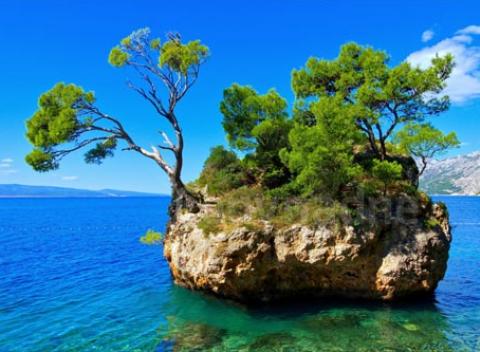 Užite si skvelú dovolenku v známom letovisku Baška Voda na Makarskej riviére v Chorvátsku. Pobyt v klimatizovaných apartmánoch Villa Jurič. 