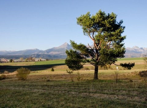 Relax v útulnej Vile Rhea pod panorámou Vysokých Tatier v tichej dedinke Važec.