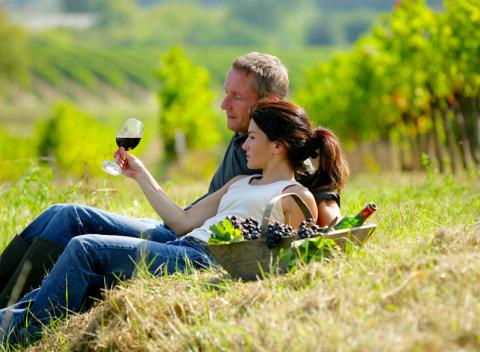 Vydajte sa na dovolenku na južnú Moravu do hotela Čech***, užite si večer v romantickej vinárni, poriadnu zábavu a okoštujte moravské víno.