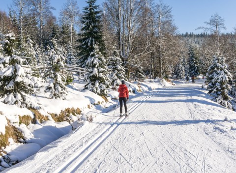 Jizerské hory v Hoteli Maxov *** neďaleko skiareálov s polpenziou a saunou.