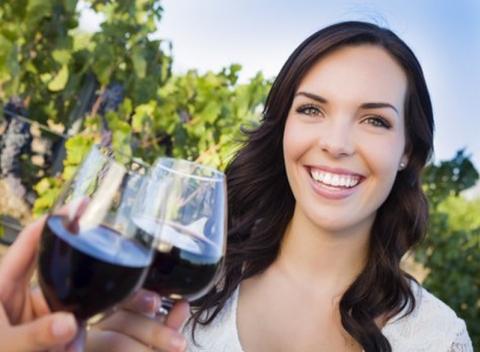 Zažite neopakovateľnú atmosféru Južnej Moravy. Ubytujte sa v penzióne Na Vinici a vychutnajte si tie najlepšie moravské vína.   