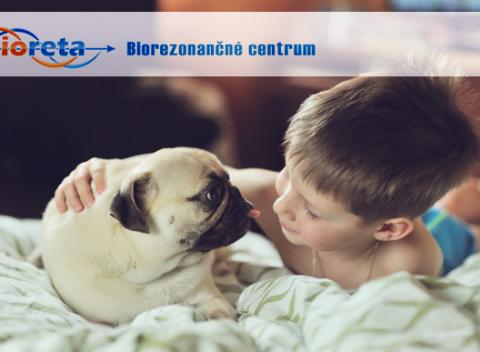 Máte radi prírodu, zvieratá, ale ste alergik! Koniec alergie – testovanie a odstránenie alergií v biorezonančnom centre BIORETA.