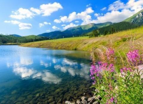 Vydajte sa na dovolenku do prírody Belianskych Tatier. Pobyt pre dvoch v penzióne Bayer v Ždiari s polpenziou a množstvom zliav.