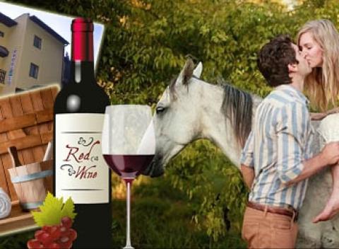 Romantický pobyt pre dve osoby v prostredí krásnych Javorníkov. Fantastické 2 noci v penzióne Les s polpenziou, wellness a jazdou na koni.  