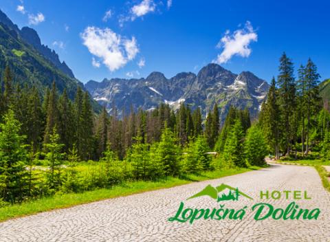 Rodinný pobyt v tichom lesnom prostredí Lopušnej Doliny vo Vysokých Tatrách. Krásne tiché prostredie uprostred lesa.