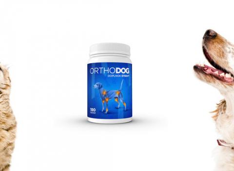 Kĺbna výživa pre psov a mačky Orthodog. Vďaka svojmu jedinečnému zloženiu a kombinácii kvalitných látok vyživuje chrupavky. 