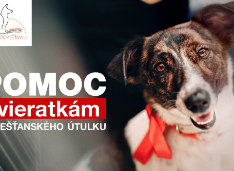 Zbierame sa psíkom v útulku na tucet nových drevených búd - pomôžete aspoň symbolicky aj vy? ;)