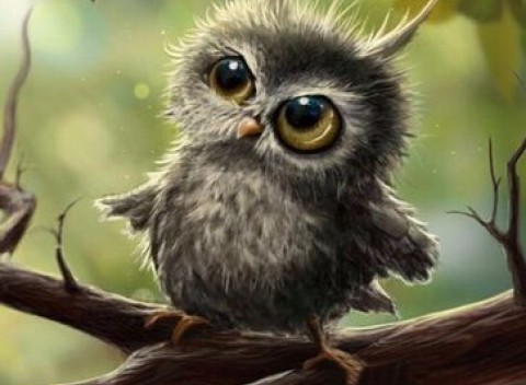 Sada pro výrobu vlastního obrazu - roztomilá sova - 30 x 30 cm.