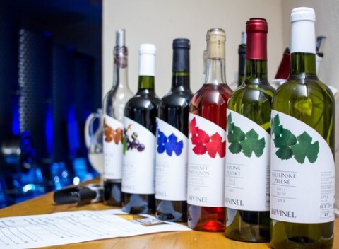 Degustácia vín v rodinnom vinárstve BOVINEL. Výber vín pozostáva od suchých, sladké až po likérové.