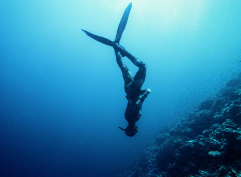 Ochutnávka prístrojového potápania alebo freedivingu - 60 min. teórie a 60 min.v bazéne.