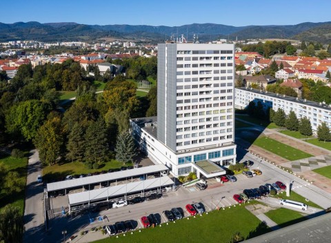Hotel Lux sa nachádza v centre Banskej Bystrice. Štýlové ubytovanie, reštaurácia s terasou a  záhrada.