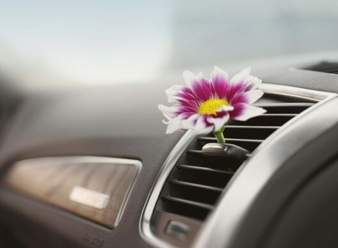 Plnenie klimatizácie chladivom vrátane materiálu. Platí pre všetky osobné autá.