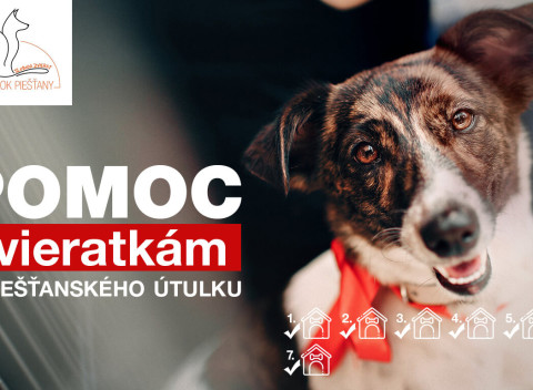 Zbierame sa psíkom v útulku na tucet nových drevených búd - pomôžete aspoň symbolicky aj vy? ;)