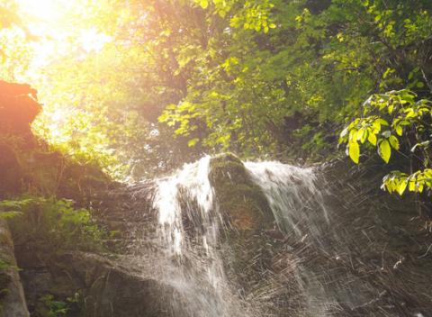 Užite si dovolenku s celou rodinou či partiou v Slovenskom raji. Pobyt pre 7 osôb s raňajkami v Chate Čučoriedka pod Kráľovou Hoľou. 
