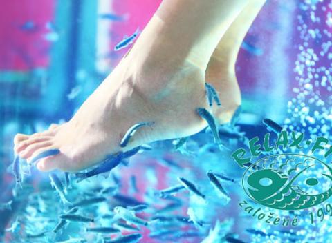 Ak chcete dosiahnuť dokonalý vzhľad vašich nôh, stačí ich zveriť rybičkám. Rybičky Garra Rufa sa postarajú o prírodný peeling či mikromasáž.