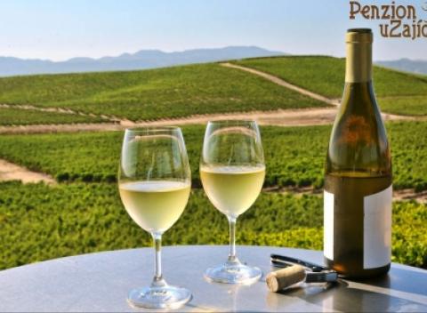 Pobyt s polpenziou v Penzióne u Zajíčků blízko známej priepasti Macocha na Južnej Morave. Ideálny pre milovníkov turistiky i cyklistiky.