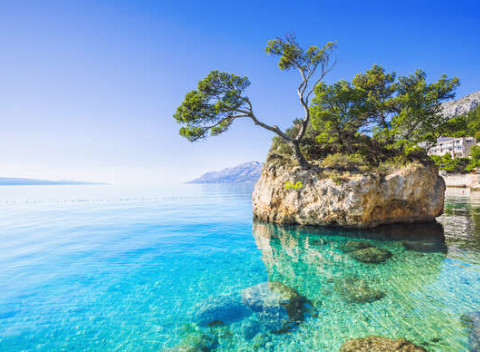 Dovolenka pri mori na 7 nocí v hoteli Palma*** na Makarskej cca 100 m od okruhliakovej pláže.