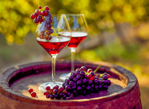 Penzión V Zahraničí s neobmedzenou konzumáciou vína, živou hudbou a polpenziou + 2 deti zdarma.