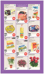 10. stránka Tesco letáku