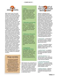 53. stránka Tesco letáku