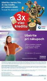 19. stránka Tesco letáku