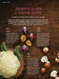 10. stránka Tesco letáku