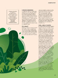 87. stránka Tesco letáku