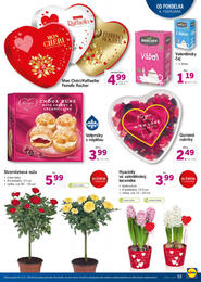 15. stránka Lidl letáku