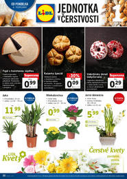 26. stránka Lidl letáku