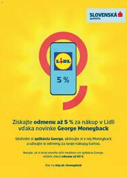 26. stránka Lidl letáku