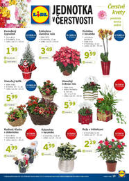 19. stránka Lidl letáku