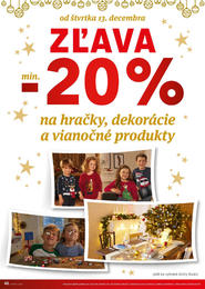 46. stránka Lidl letáku